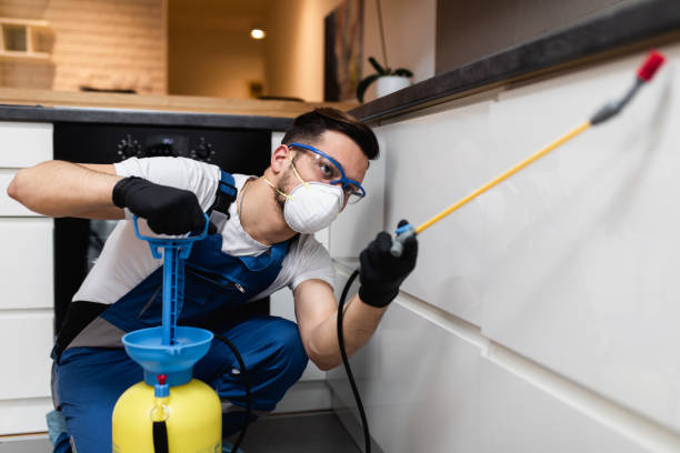 Wildlife Control Services in Verde Village, AZ
