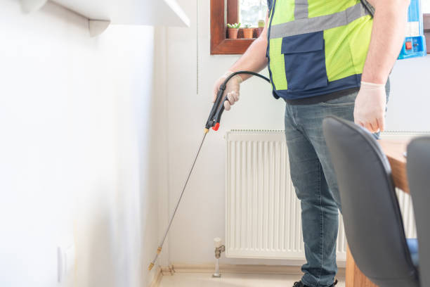 Best Pest Removal Services  in Verde Village, AZ