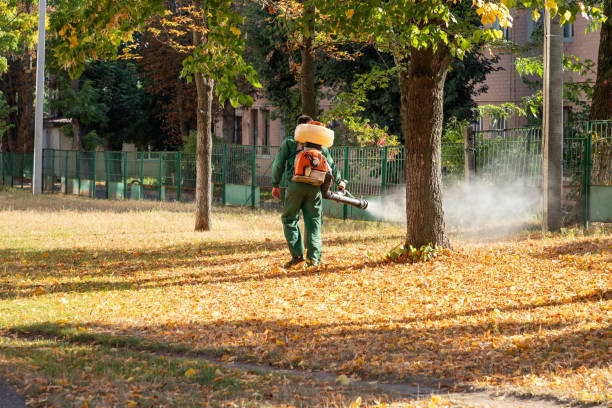 Best Wasp Removal Services  in Verde Village, AZ