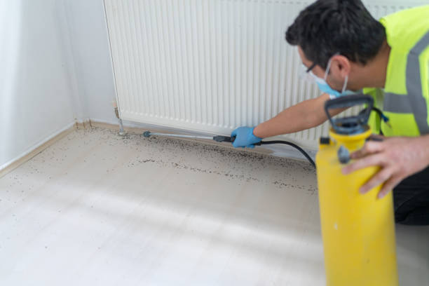 Pest Prevention Services in Verde Village, AZ